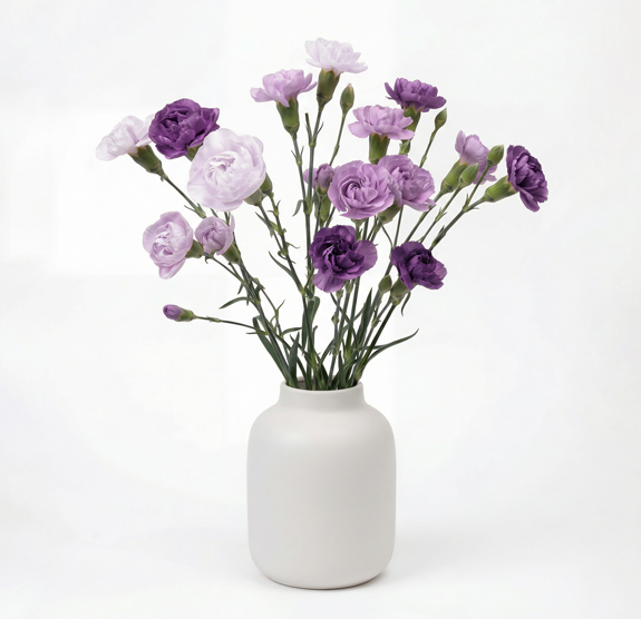 Florequisa innovation image
